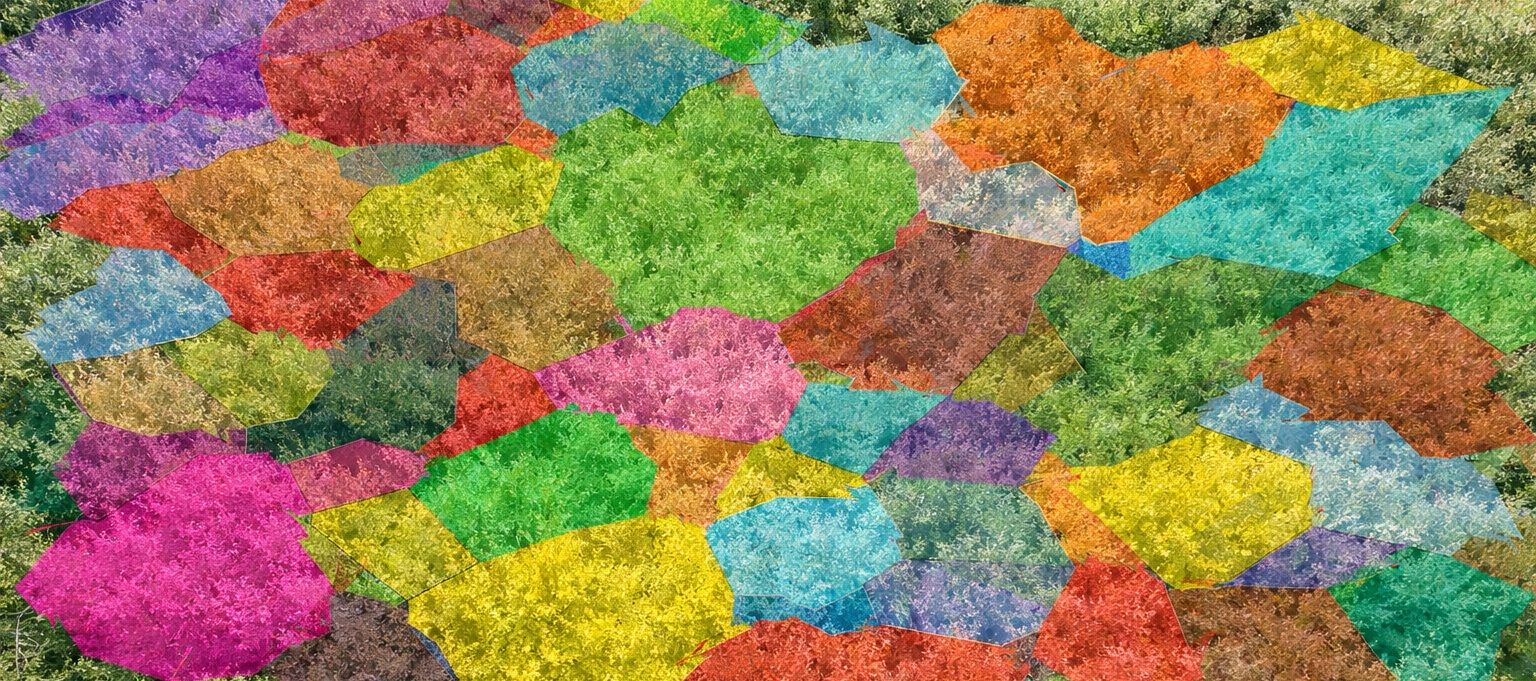 Когда авторазметка — зло.jpg