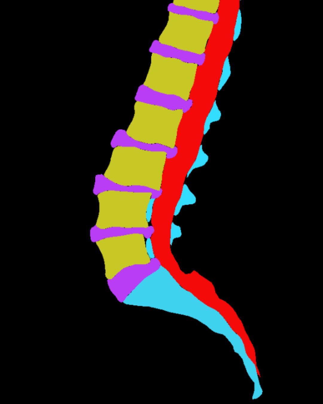 Медицинский датасет из 500 000 МРТ-снимков.jpg