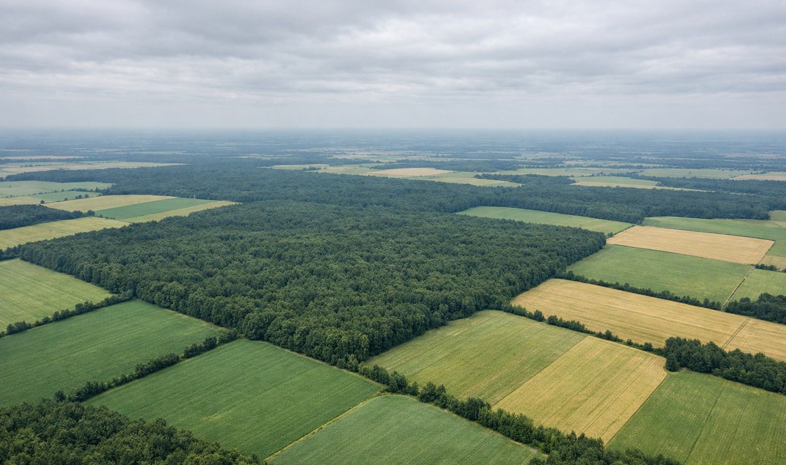 Распознавание изображений с дронов.jpg