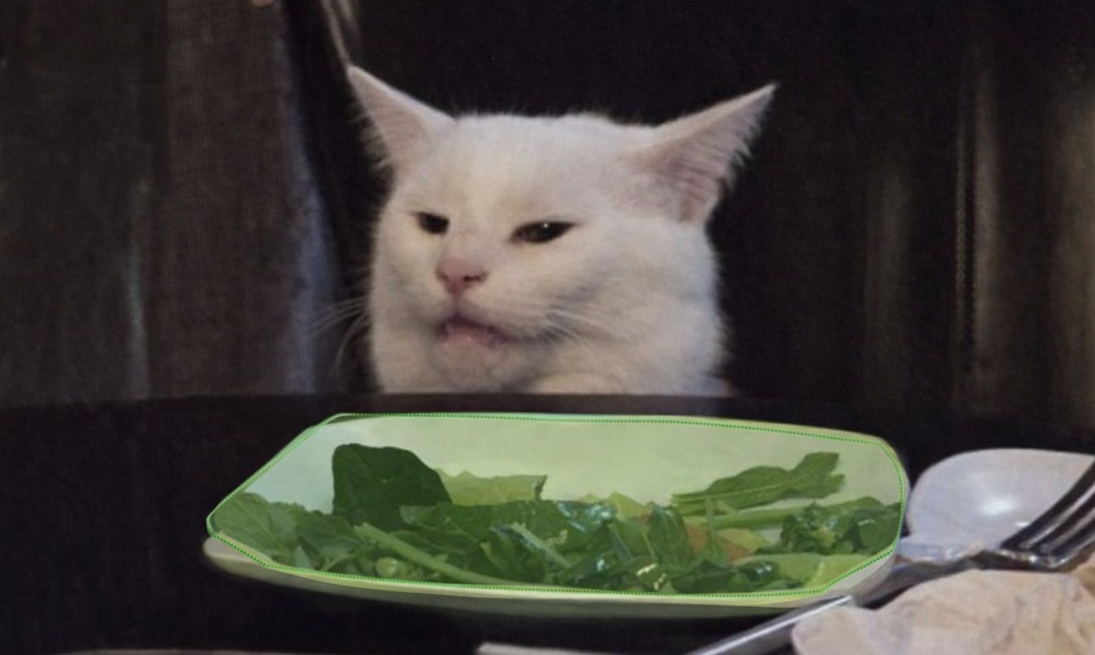 Segment Anything Model что такое авторазметка.jpg