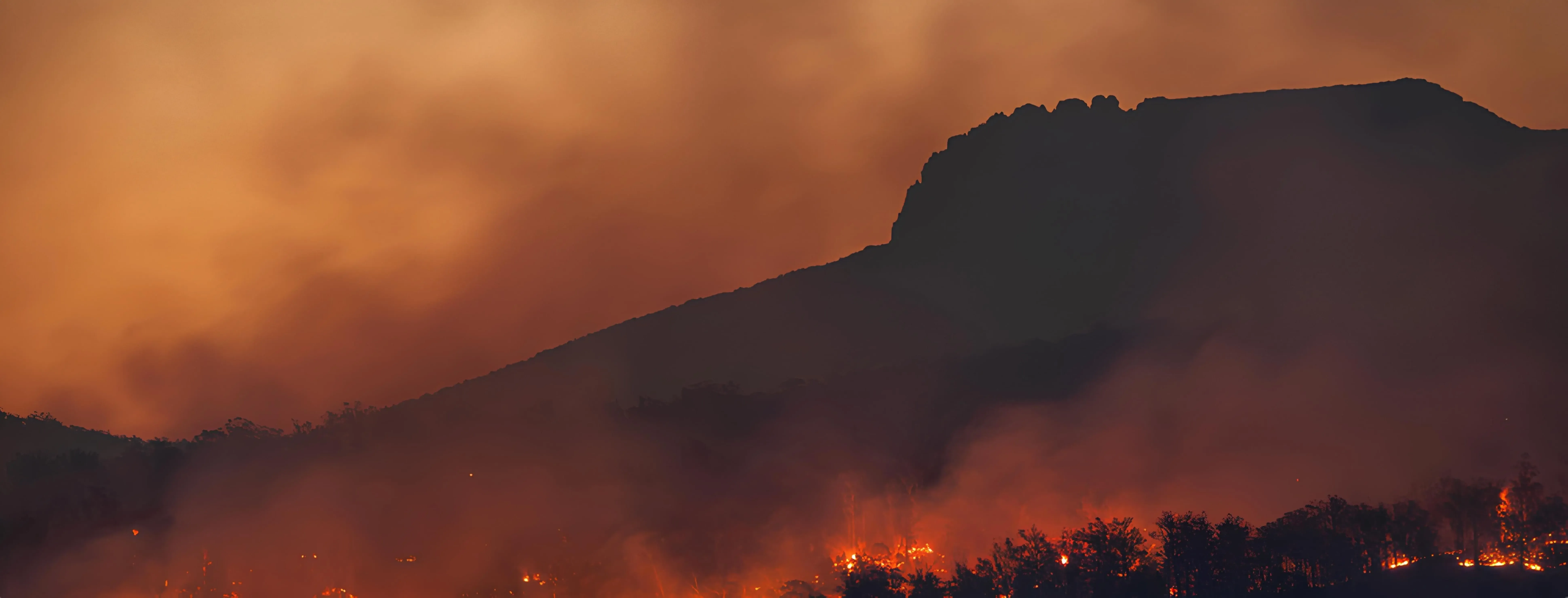 fire-detection.webp
