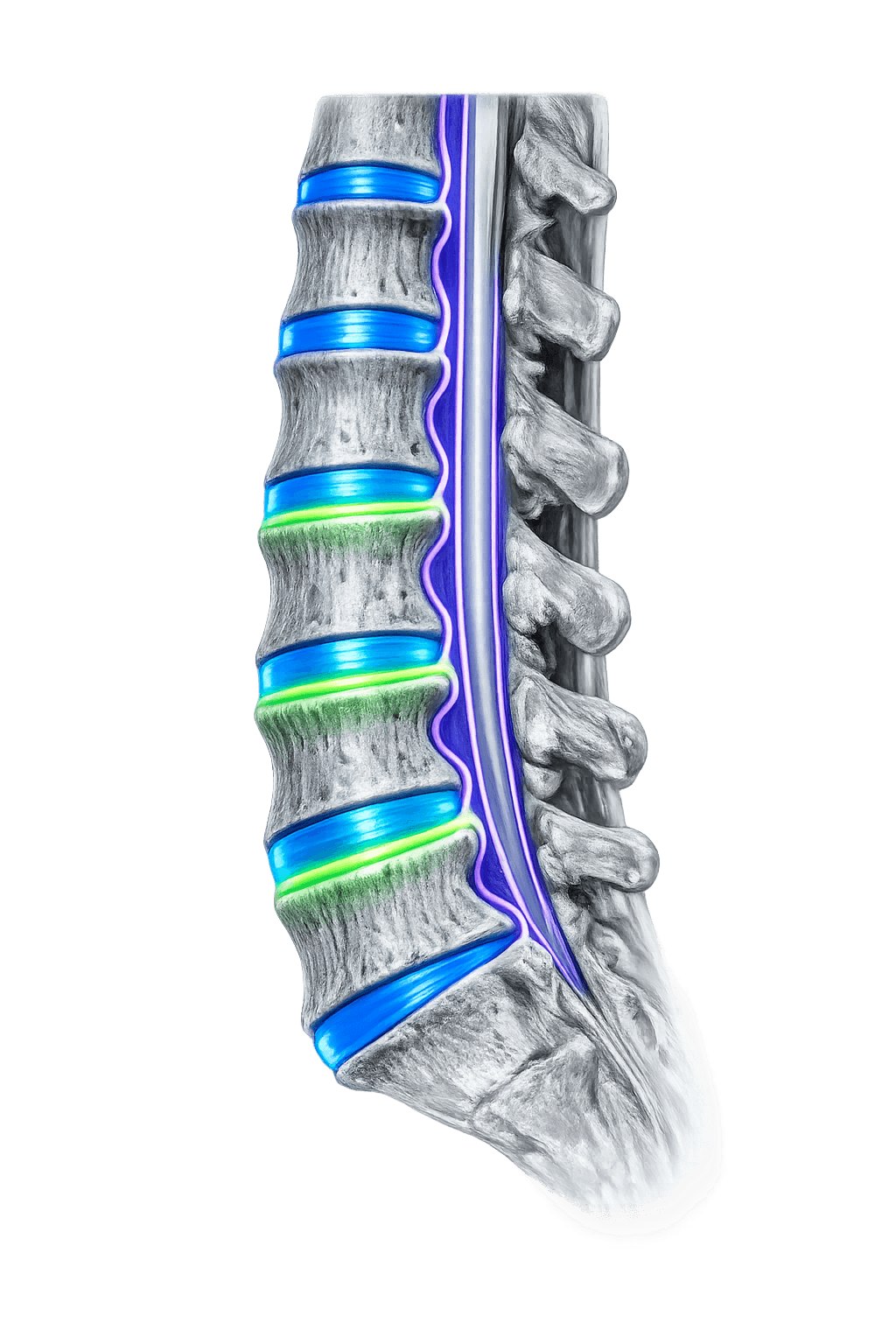 medical-mri-dataset-for-ai (2).png